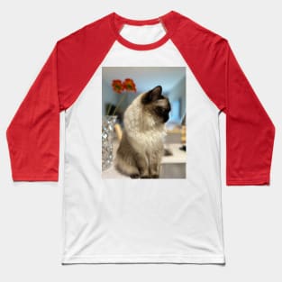 Ragdoll Cat Baseball T-Shirt